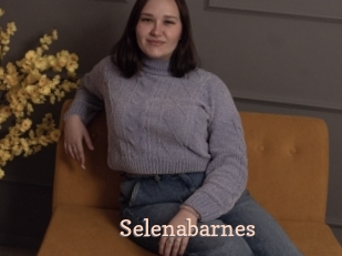 Selenabarnes