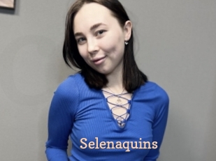 Selenaquins