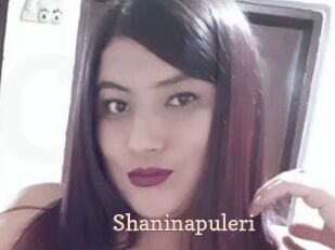 Shaninapuleri