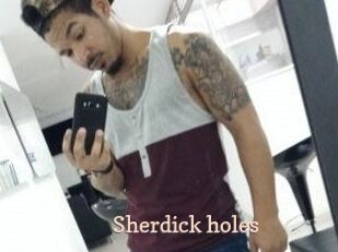 Sherdick_holes