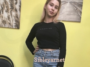 Sibleyarnet