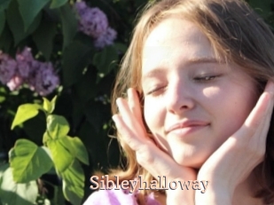 Sibleyhalloway