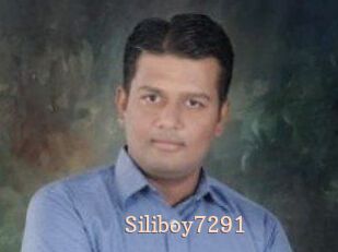 Siliboy7291