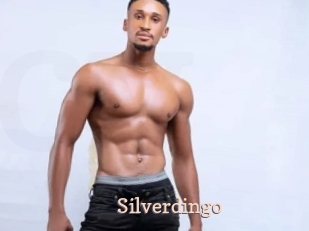 silverdingo Chaude Vision