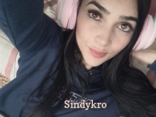 Sindykro