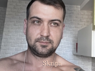 Skripa