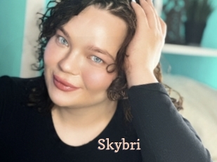 Skybri
