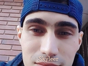Skyleer