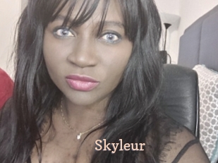 skyleur Chaude Vision