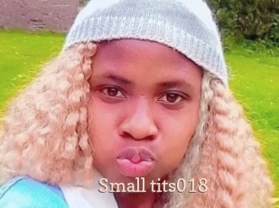 Small_tits018
