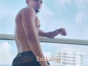 Snakebig