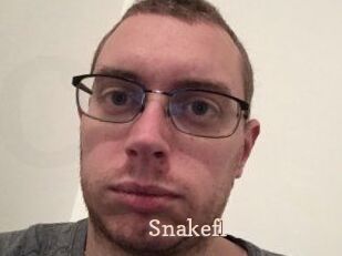 Snakefl