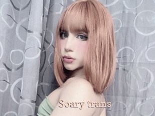 Soary_trans
