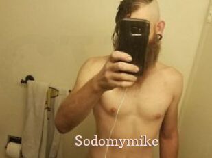 Sodomymike