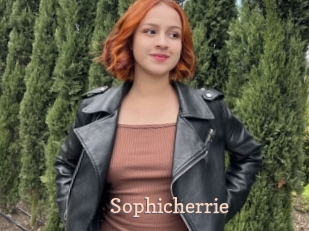 Sophicherrie