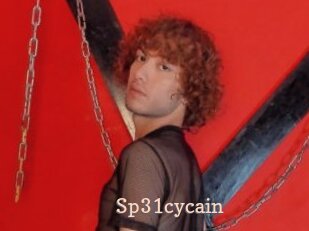 Sp31cycain