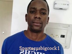 Spartacusbigcock1