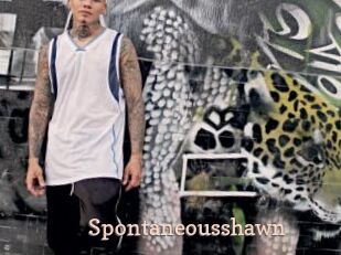 Spontaneousshawn