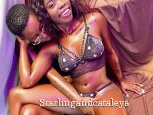 Starlingandcataleya
