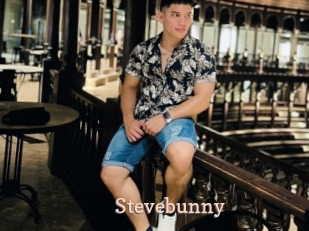 Stevebunny