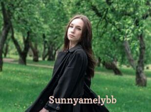 Sunnyamelybb