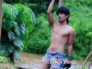 SuperbHORNYboy