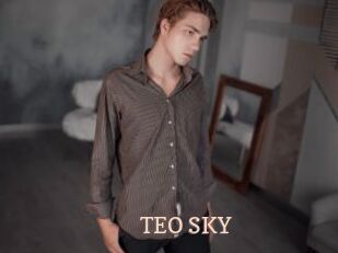 TEO_SKY