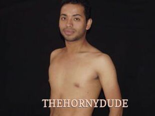 THEHORNYDUDE