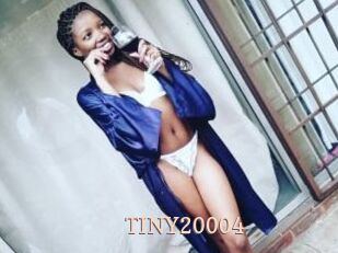 TINY20004