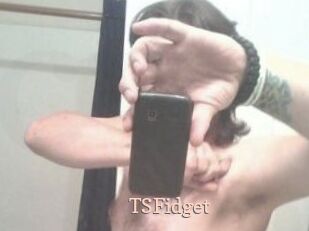 TSFidget