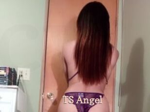 TS_Angel