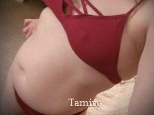 Tamire Chaude Vision