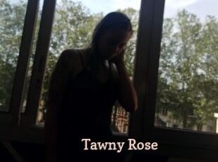Tawny_Rose