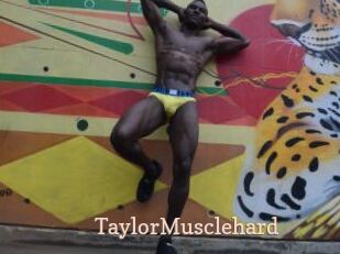 TaylorMusclehard