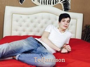 TedJamison Chaude Vision