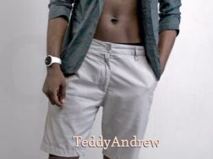 TeddyAndrew Chaude Vision