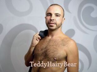 TeddyHairyBear Chaude Vision