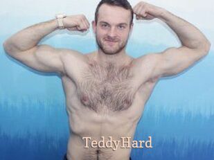 TeddyHard Chaude Vision