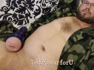 Teddybear_forU Chaude Vision