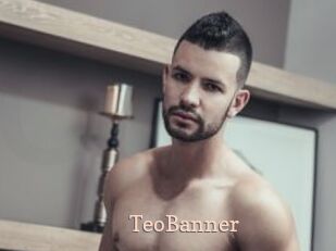 TeoBanner