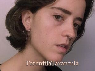 TerentilaTarantula