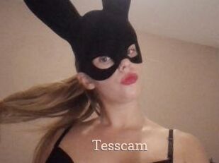 Tesscam