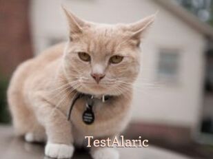 TestAlaric