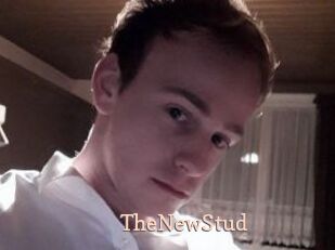 TheNewStud