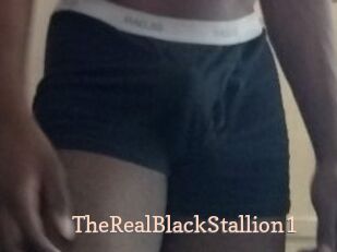 TheRealBlackStallion1