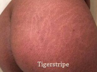Tigerstripe