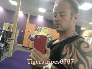 Tigerstripes6767