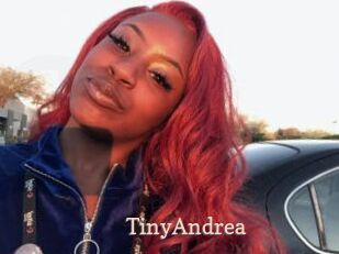 TinyAndrea