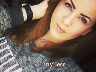 TinyTess