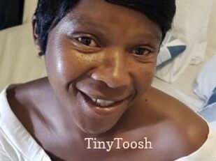 TinyToosh